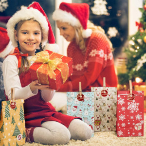 Set de 24 pungi cu autocolante si clipsuri pentru calendar de advent KATELUO, hartie/lemn, multicolor, 22 x 8 x 12 cm /4 cm