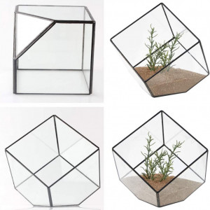 Ghiveci decorativ pentru plante Asvert, sticla, transparent, 15 x 15 x 15 cm