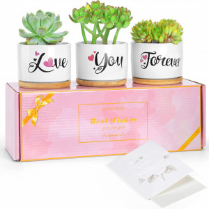 Set de 3 ghivece de plante LEOHOME, ceramica, multicolor, 9 x 6,3 cm