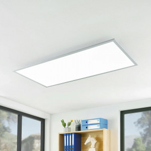 Plafoniera Gelora, LED, plastic/aluminiu, alb/argintiu, 120 x 60 x 5,2 cm