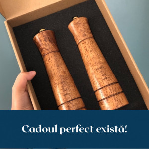 Set de 2 rasnite pentru mirodenii Liagué, lemn, maro, 21,5 x 5,3 cm