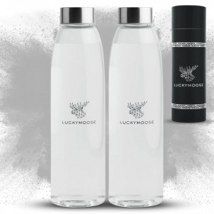 Set de 2 sticle pentru apa Luckymoose, transparent/argintiu, 25 x 7 cm
