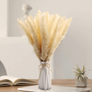 Set de 30 fire de pampas cu vaza Dekewe, iarba uscata, natur, 25 - 35 cm