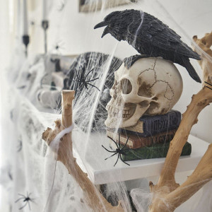 Set de 2 panze si 20 paianjeni pentru Halloween Maxee, bumbac/plastic, alb/negru