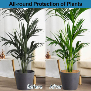Set de 4 discuri de protectie pentru ghivecile de plante Hydrogarden, nuca de cocos, natur,60 cm