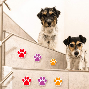Rola cu 600 autocolante in forma de urma de animale Boao, hartie, multicolor, 3,8 cm