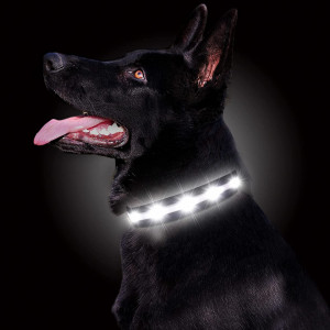 Zgarda pentru caine GOMYYARD, LED, nailon, negru/alb, marimea S