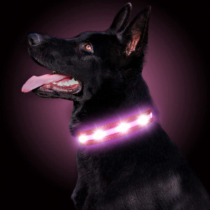 Zgarda pentru caine GOMYYARD, LED, nailon, negru/roz, marimea L