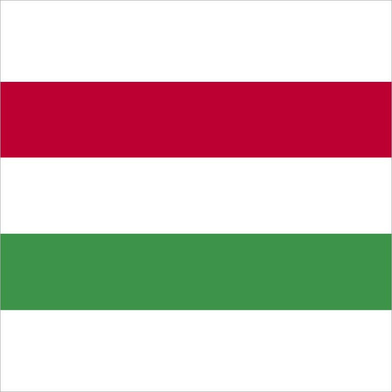 Udžbenici na mađarskom jeziku