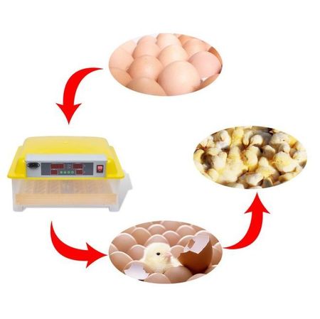 Incubator automat pentru 48 ouă de pasăre