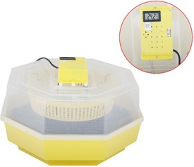 Incubator Electric Cleo - 5 cu Termometru - 647170