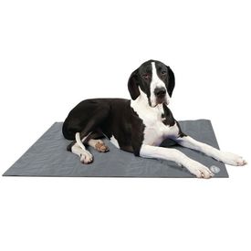 Scruffs & Tramps Pătură termică pentru câine Gri Mărime XL