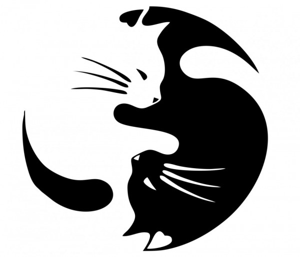 Autocolante - Gato ying yang