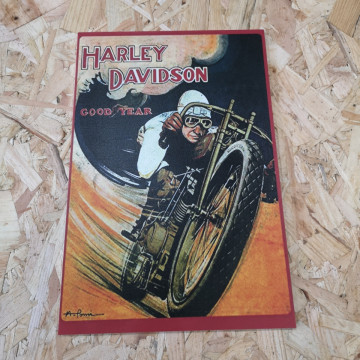 Placa Decorativa em PVC - Harley Davidson