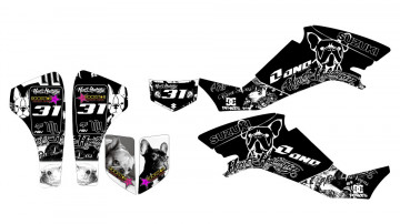 Kit Autocolantes Para Suzuki LTZ 400 03-08