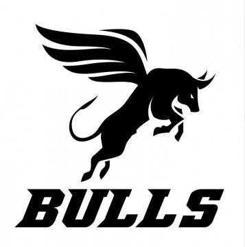 Autocolante com Bulls