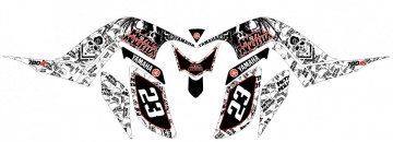 Kit Autocolantes Para Yamaha Raptor 700R