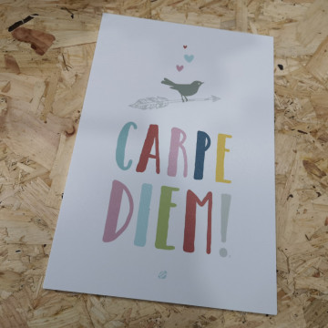 Placa Decorativa em PVC - Carpe Diem!