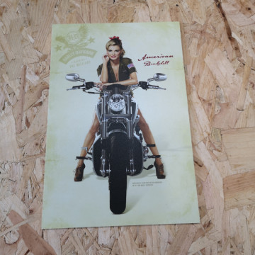 Placa Decorativa em PVC - Harley Davidson