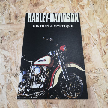 Placa Decorativa em PVC - Harley Davidson