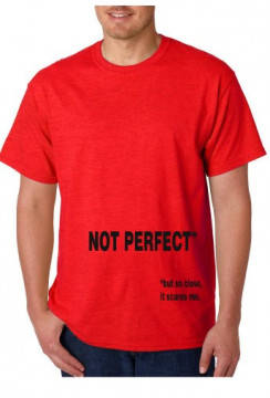 T-shirt - NOT PERFECT But So Close