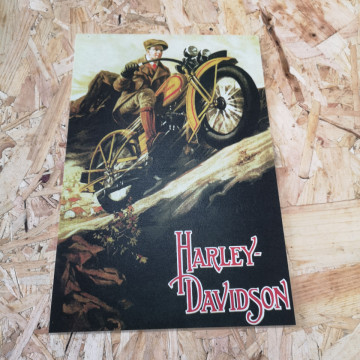 Placa Decorativa em PVC - Harley Davidson
