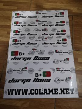 Folha / Pack de Autocolantes - Bandeira + Nomes + Grupo sanguíneo