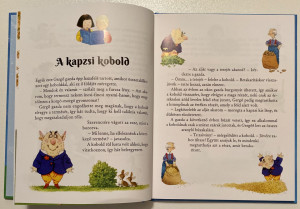 Panni és Samu esti tündérmeséi
