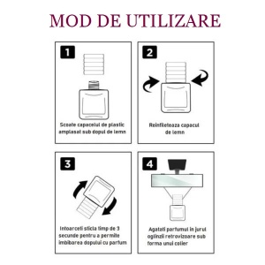 Eyfel parfum auto 10 ml instructiuni folosire