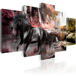 Kép - Black horse on crimson sky background