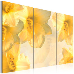 Kép - Delicate lilies in a shade of yellow