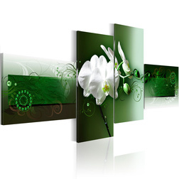 Kép - Orchid on a deep green background