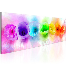 Kép - Rainbow-hued poppies