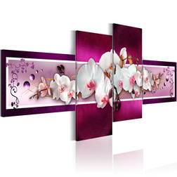 Kép - Romantic orchids