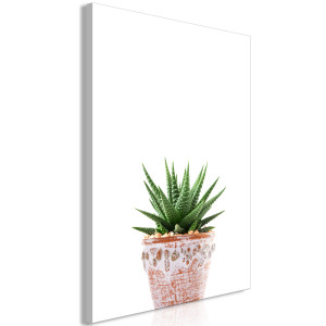 Kép - Succulents In Pot (1 Part) Vertical