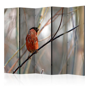 Paraván - Bullfinch in the forest II [Room Dividers]