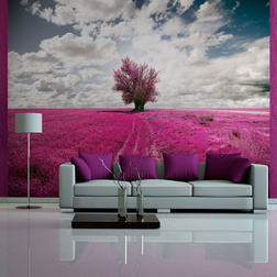 Fotótapéta - Magenta rét