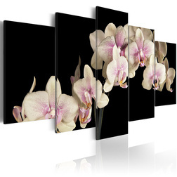 Kép - An orchid on a contrasting background