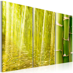 Kép - Bamboo reflected on water
