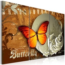 Kép - Fiery butterfly and full moon