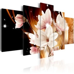 Kép - Illumination (Magnolia)