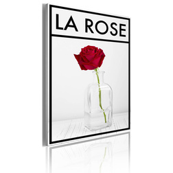 Kép - La rose