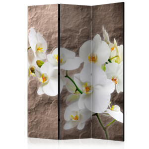 Paraván - Impeccability of the Orchid [Room Dividers]