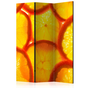 Paraván - Orange slices [Room Dividers]