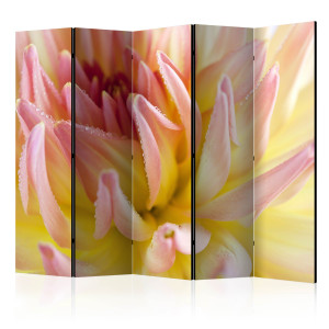 Paraván - Pastel colored dahlia flower with dew drops II [Room Dividers]