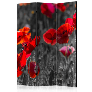 Paraván - Red Poppies [Room Dividers]