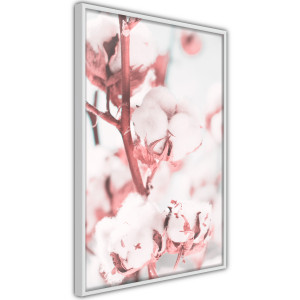 Plakát - Cotton Flowers