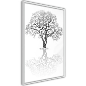 Plakát - Roots or Treetop?