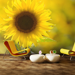 Fotótapéta - Sunflower