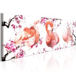 Kép - Beauty of Birds
